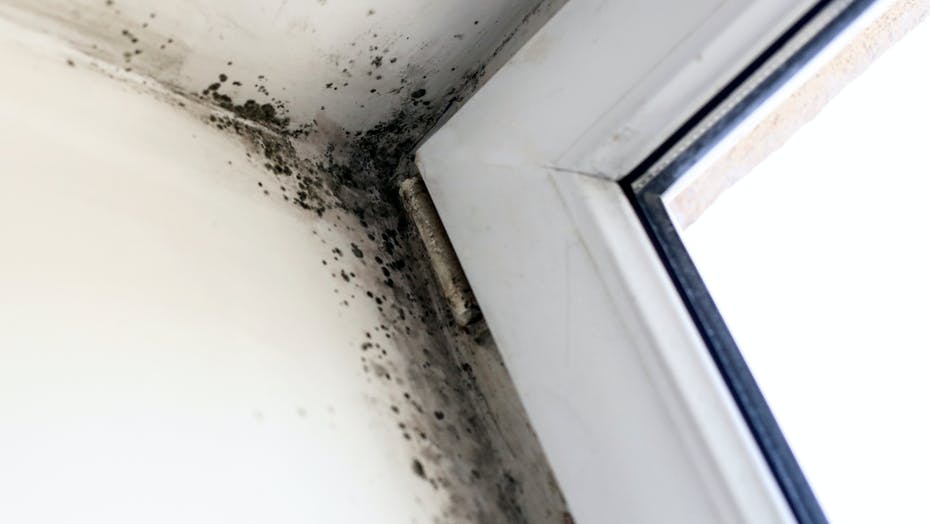 műanyag ablak penészedés